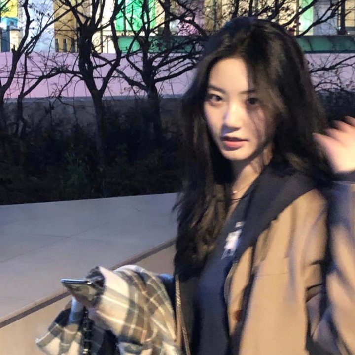 南来北往